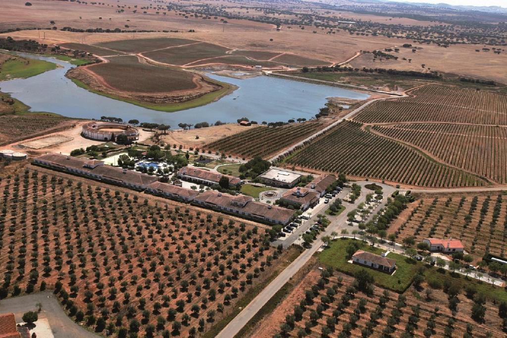 Vila Gale Alentejo Vineyard - Clube De Campo Hotel Albernoa Buitenkant foto